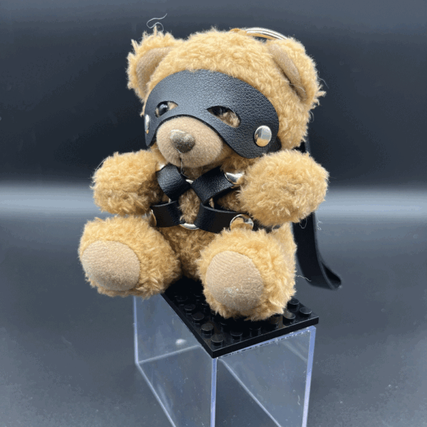 IG SL 0012 Kinky bear in bondage